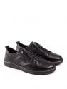 Thessaly black 40
